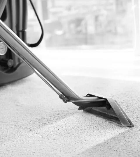 Commercial carpet cleaning
